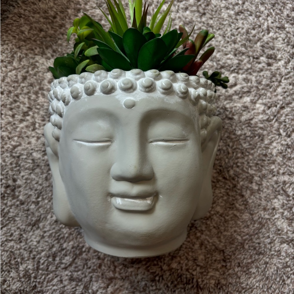 Fake Grey Buddha Head Planter with Green Succulents